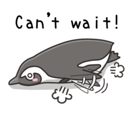 African penguin sticker #15735423