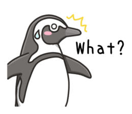 African penguin sticker #15735424