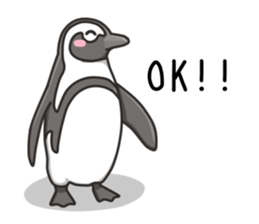 African penguin sticker #15735426