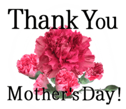 A message of the Mother's Day sticker #15736524