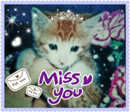 Lovely Cats #2 sticker #15736780