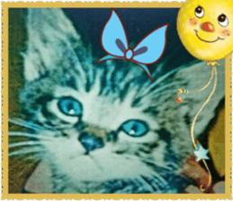 Lovely Cats #2 sticker #15736785