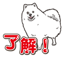 Wanko-Biyori Japan Spitz sticker #15736906