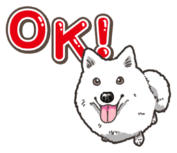 Wanko-Biyori Japan Spitz sticker #15736907