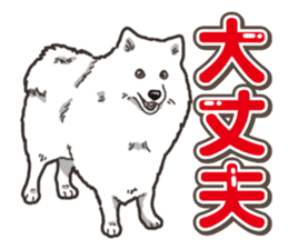 Wanko-Biyori Japan Spitz sticker #15736908