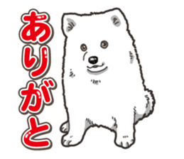 Wanko-Biyori Japan Spitz sticker #15736910