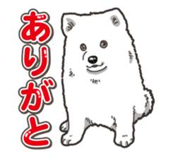 Wanko-Biyori Japan Spitz sticker #15736910