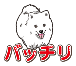 Wanko-Biyori Japan Spitz sticker #15736912