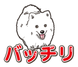 Wanko-Biyori Japan Spitz sticker #15736912