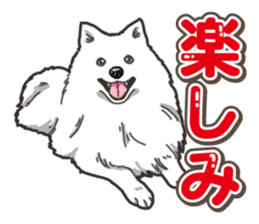 Wanko-Biyori Japan Spitz sticker #15736913