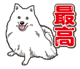 Wanko-Biyori Japan Spitz sticker #15736914