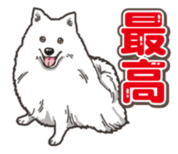 Wanko-Biyori Japan Spitz sticker #15736914
