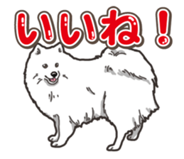 Wanko-Biyori Japan Spitz sticker #15736916