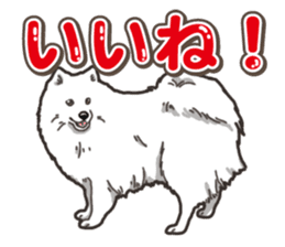 Wanko-Biyori Japan Spitz sticker #15736916