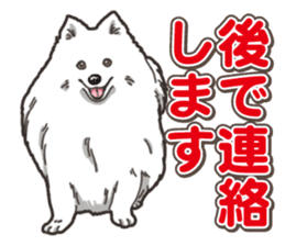 Wanko-Biyori Japan Spitz sticker #15736918
