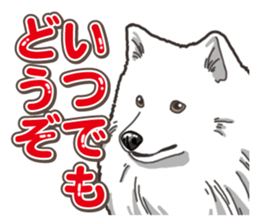 Wanko-Biyori Japan Spitz sticker #15736919