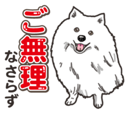 Wanko-Biyori Japan Spitz sticker #15736921
