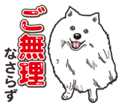 Wanko-Biyori Japan Spitz sticker #15736921