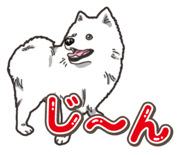 Wanko-Biyori Japan Spitz sticker #15736922