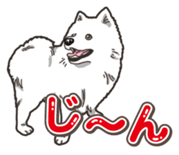 Wanko-Biyori Japan Spitz sticker #15736922