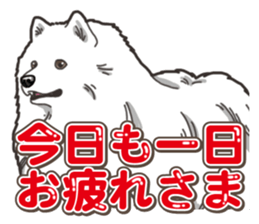 Wanko-Biyori Japan Spitz sticker #15736926