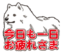 Wanko-Biyori Japan Spitz sticker #15736926