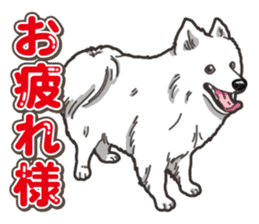 Wanko-Biyori Japan Spitz sticker #15736927