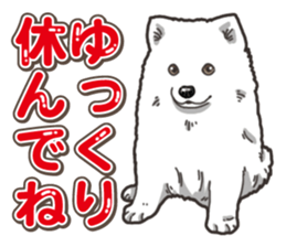 Wanko-Biyori Japan Spitz sticker #15736928