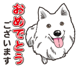 Wanko-Biyori Japan Spitz sticker #15736929