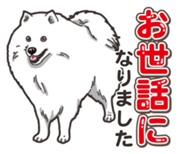 Wanko-Biyori Japan Spitz sticker #15736930