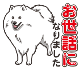 Wanko-Biyori Japan Spitz sticker #15736930