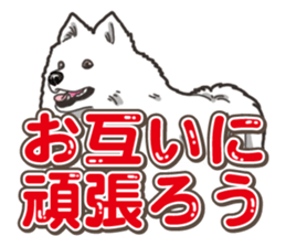 Wanko-Biyori Japan Spitz sticker #15736932