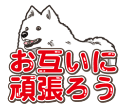 Wanko-Biyori Japan Spitz sticker #15736932