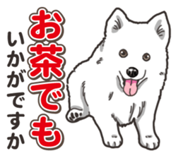 Wanko-Biyori Japan Spitz sticker #15736933