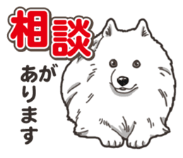 Wanko-Biyori Japan Spitz sticker #15736934