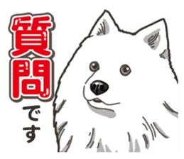 Wanko-Biyori Japan Spitz sticker #15736935