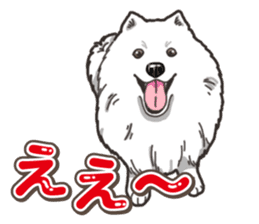 Wanko-Biyori Japan Spitz sticker #15736936