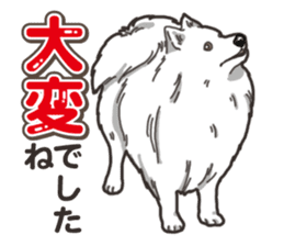 Wanko-Biyori Japan Spitz sticker #15736937