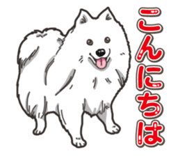 Wanko-Biyori Japan Spitz sticker #15736939