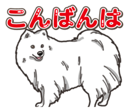 Wanko-Biyori Japan Spitz sticker #15736940