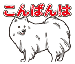 Wanko-Biyori Japan Spitz sticker #15736940