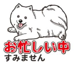 Wanko-Biyori Japan Spitz sticker #15736942