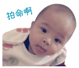 Little preserved egg sticker #15737028