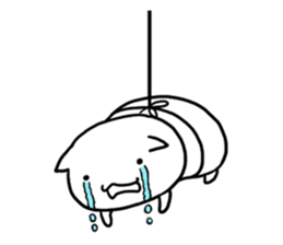 The white cat "ZN" sticker #15737105