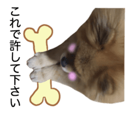 RASUZOU THE DOG Photo1 sticker #15737773