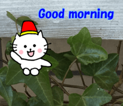 Nyatan's greetings words and thank words sticker #15740318