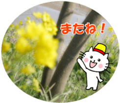 Nyatan's greetings words and thank words sticker #15740324