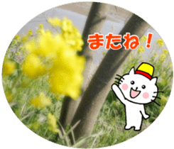 Nyatan's greetings words and thank words sticker #15740324