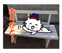 Nyatan's greetings words and thank words sticker #15740331