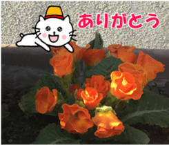 Nyatan's greetings words and thank words sticker #15740332